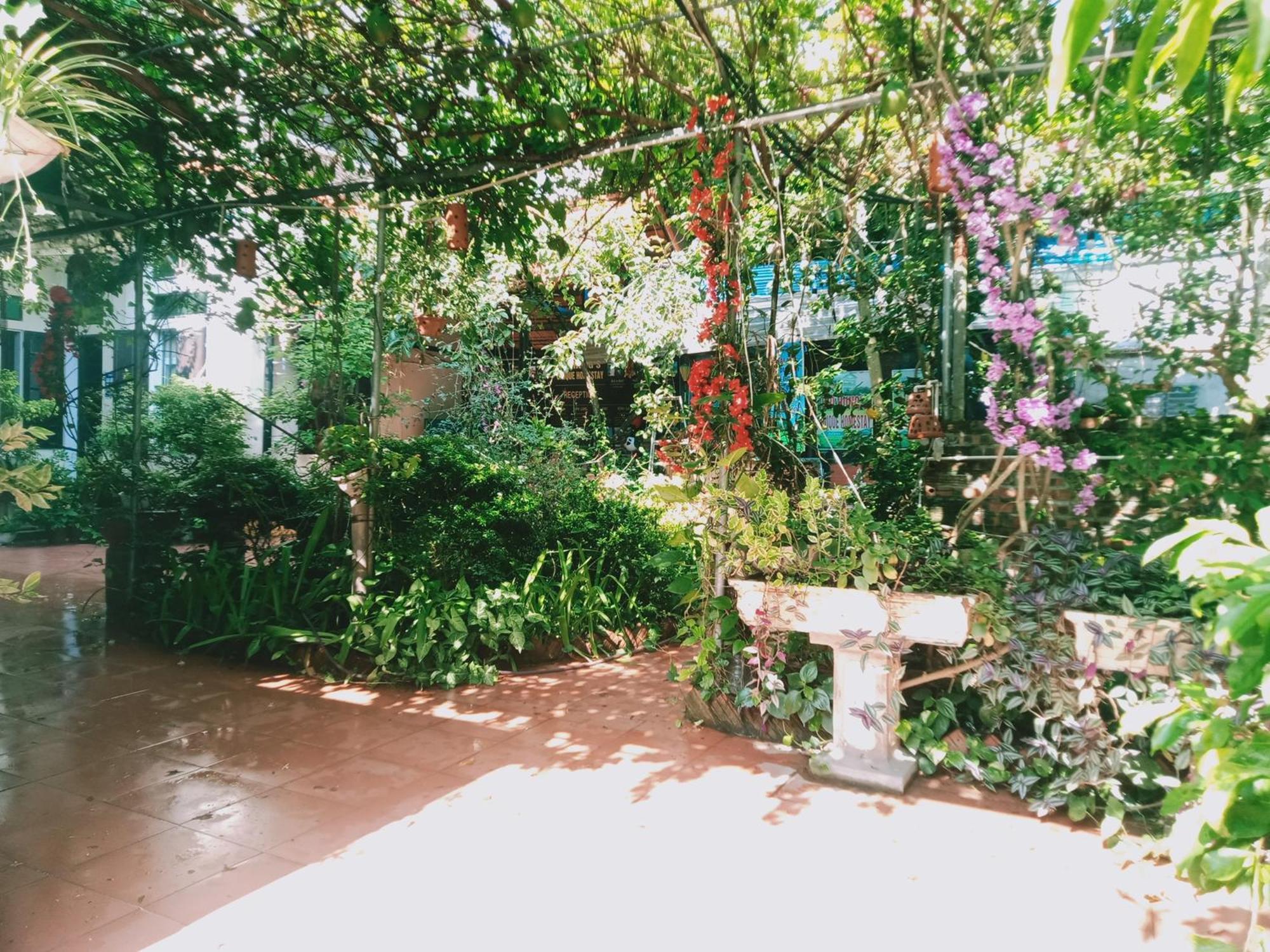 Phi Hung'S Unique Homestay นิญบิ่ญ ห้อง รูปภาพ
